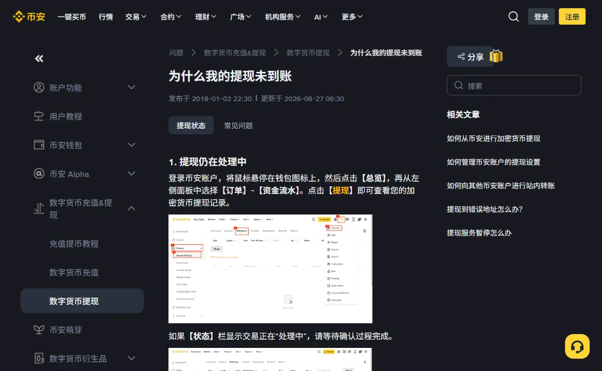 币安帮助中心「为什么我的提现未到账」页面,第一节「提现仍在处理中」写明从钱包图标进入总览、订单、资金流水、提现查看记录,并附有标注了点击顺序的界面图